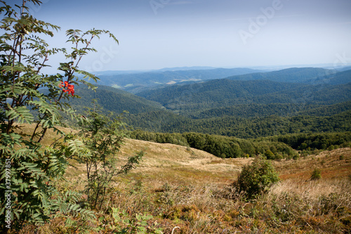 Board z aluminiowym obramowaniem Bieszczady w południowo-wschodniej Polsce