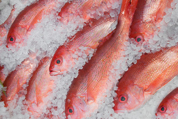 Red fish are shown on display on ice