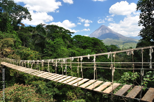 Nowoczesny obraz na płótnie Brücke im Dschungel