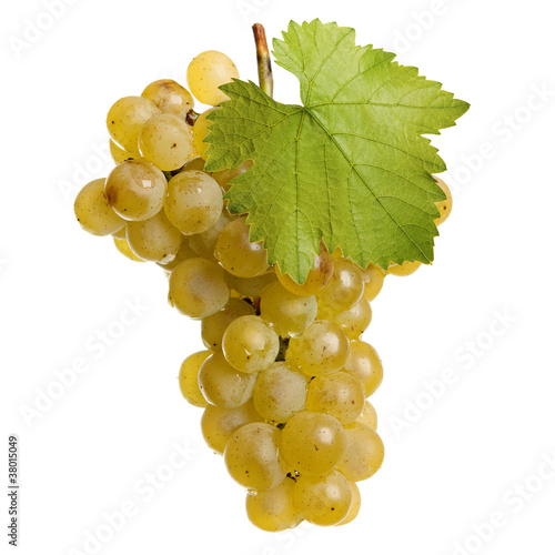 Fotografia, Obraz Fresh bunch of white wine on a white background