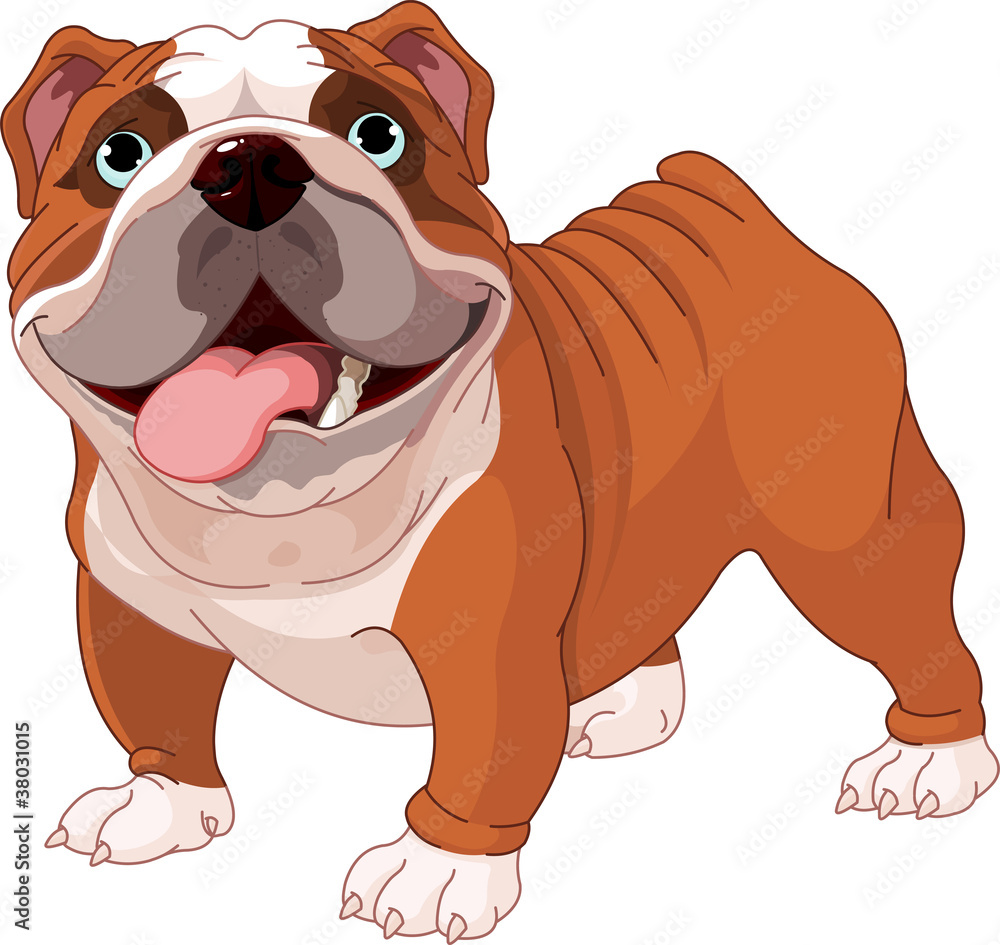 English bulldog Stock Vector | Adobe Stock, image size:1000x945