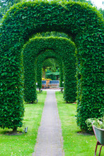 Arch Of Topiary