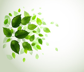 Sticker - branch with fresh green leaves