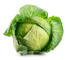 Raw Cabbage Isolated On White