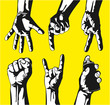 Set of gestures of hands in a vector