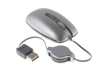 computer mouse.