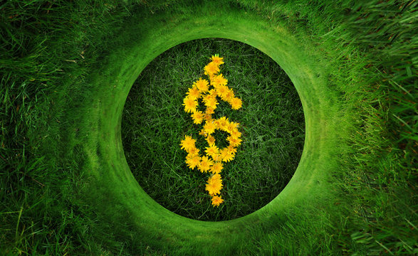 Wall Mural -  - Natural Green Money Dollar Symbol