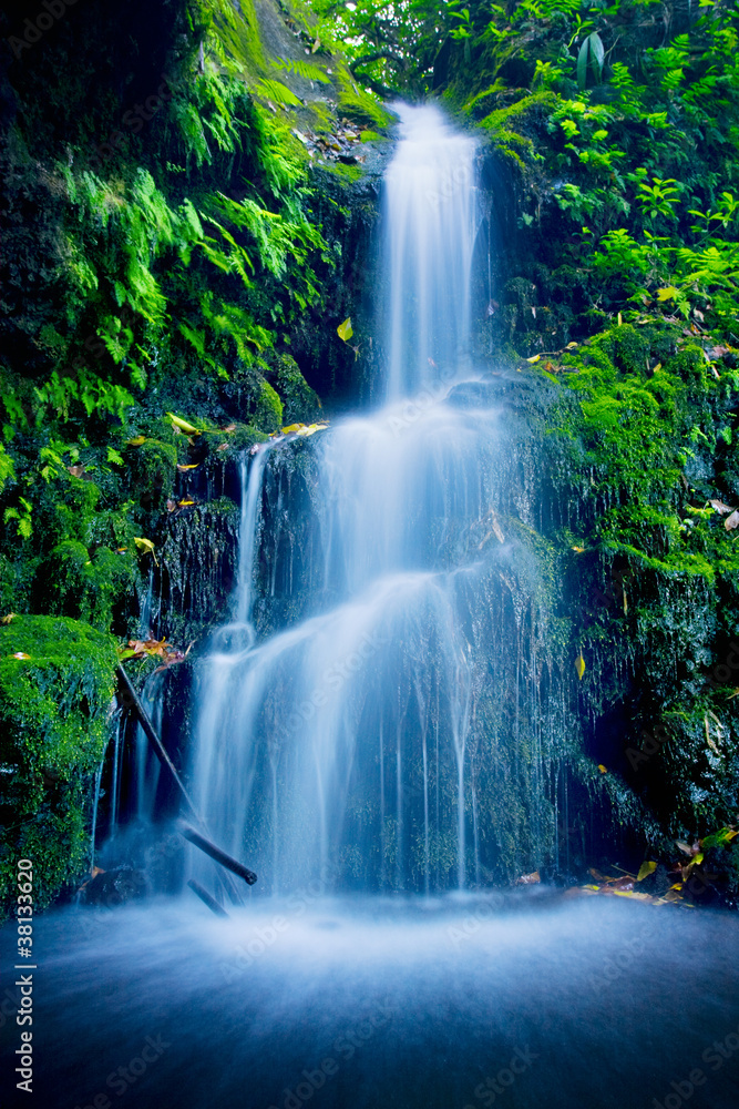 Beautiful Lush Waterfall - obrazy, fototapety, plakaty 