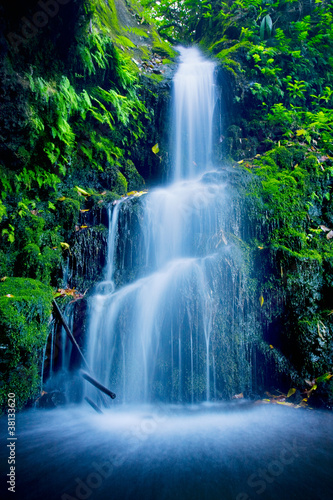 Naklejka - mata magnetyczna na lodówkę Beautiful Lush Waterfall