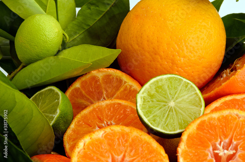 Board z aluminiowym obramowaniem Pomarańcze, cytryny, mandarynki i limonki
