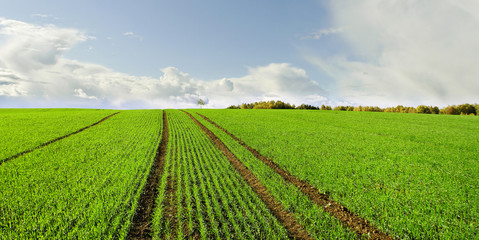 Wall Mural - Clouds above land.