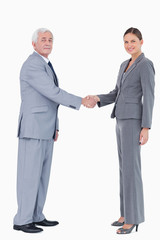 Poster - Businessman and woman shaking hands