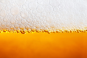 beer bubbles closeup