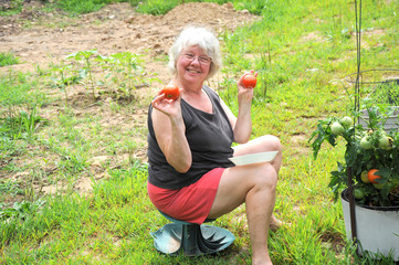 Vegetable garden.