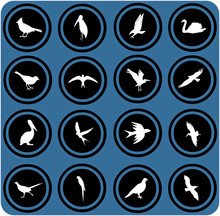 Blue  Signs. Silhouettes Of Birds. Birrds Icons