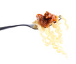 © teine - Fusilli Bucati Lunghi with bolognese sauce on a fork