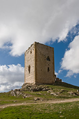 Wall Mural - castle