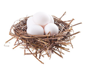 Nest with eggs