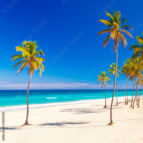 Plakat na papierze fotorealistycznym Piękna kubańska plaża varadero