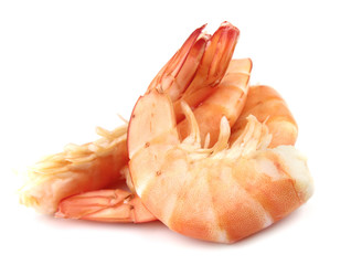 shrimps