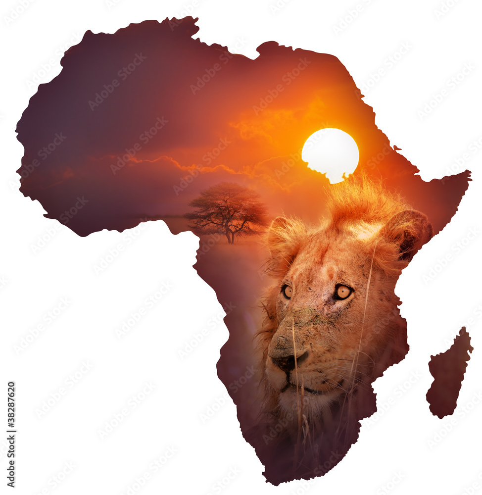 African Wildlife Map - obrazy, fototapety, plakaty 