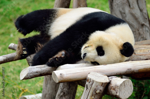 Board z aluminiowym obramowaniem Panda