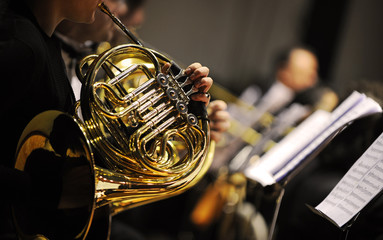 french horn