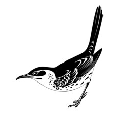 Wall Mural - thrush silhouette on white background