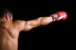 © cristovao31 - Young Boxer fighter over black background