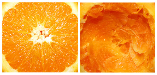 orange fruit