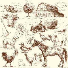 Wall Mural - farm