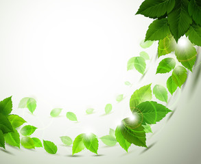 Sticker - branch with fresh green leaves