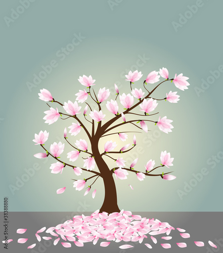Tapeta ścienna Drzewo magnolii