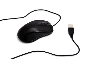 computer mouse