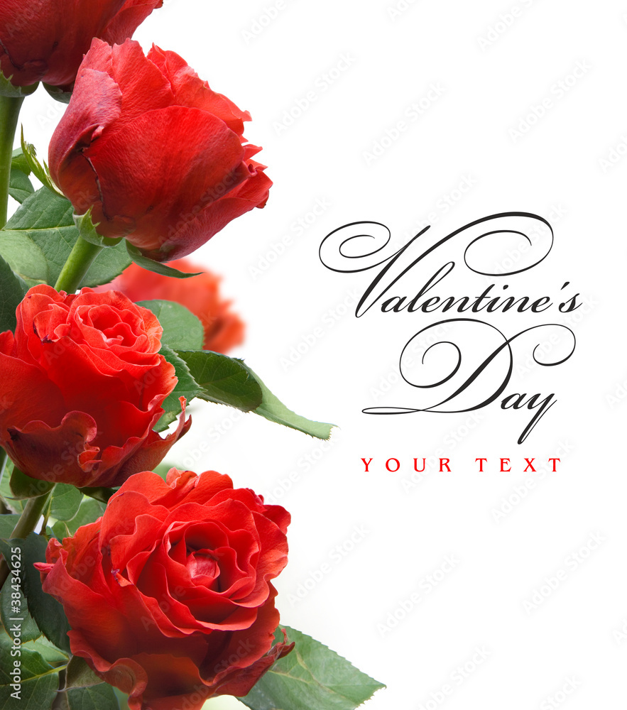 art greeting card with red roses isolated on white background Stock ...