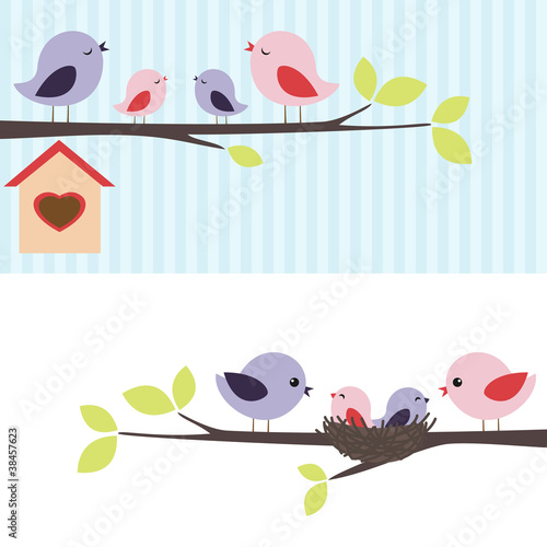 Obraz w ramie Rodzina ptaków siedząca na gałęziach drzewa