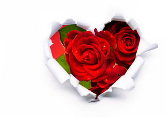 Wall Mural - art bouquet of red roses and the paper hearts on valentine's day