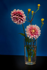 A bouquet of summer flowers in a glass on the dark blue backgrou