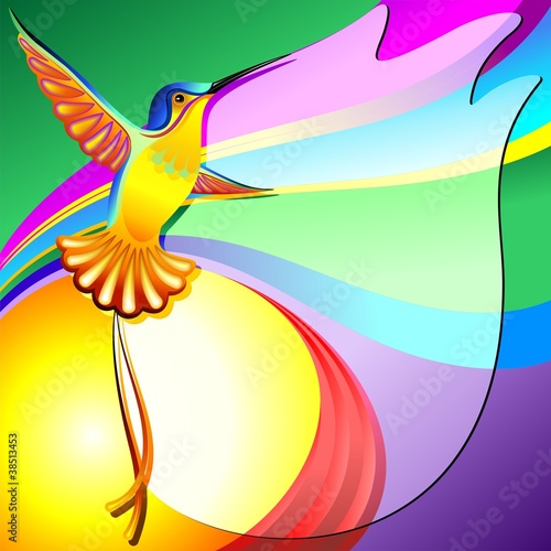 Colibri Sfondo Colori-Hummingbird Colors Background-Vector