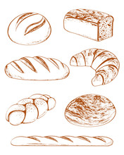 Vector Collection Of Breads
