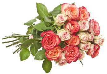 Wall Mural - bunch of roses