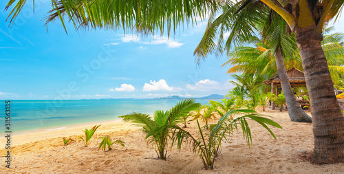 Plakat na papierze fotorealistycznym Tropikalna plaża. 