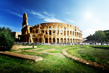 Wall Mural - Colosseum in Rome, Italy