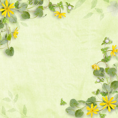 Summer background with yellow flowers (Ficaria verna)