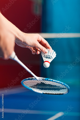 Dekoracja na wymiar  badminton-na-silowni-reka-z-lotka