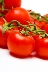 Canvas Print - fresh tomatoes