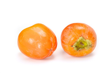 persimmon