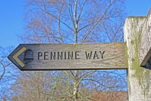 A Wooden Direction Sign On The Famous Pennine Way.