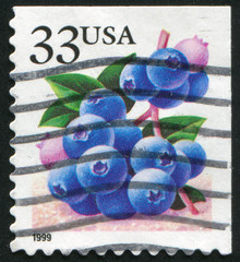 Sticker - blueberries