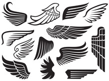 Wings Collection (set Of Wings)